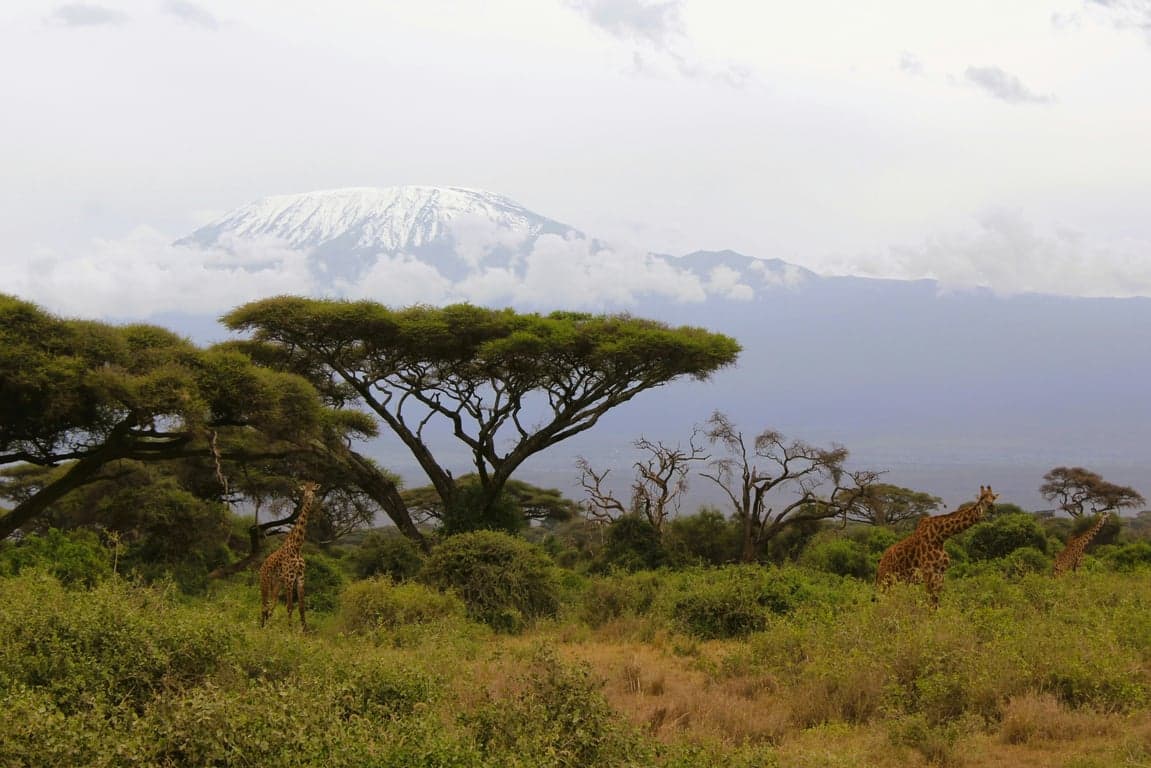Kilimanjaro Rongai Route
